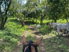 Colombia-Caribbean-Colombia Caribbean Coast Ride